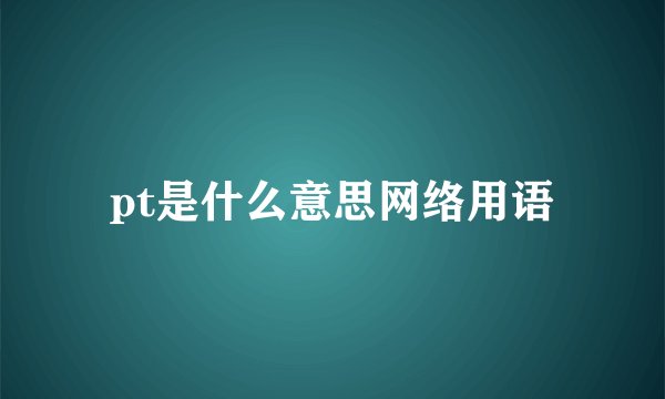 pt是什么意思网络用语