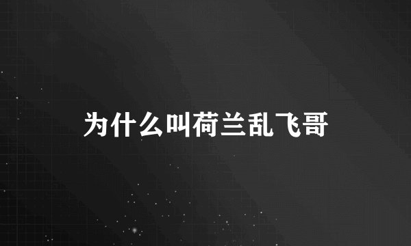 为什么叫荷兰乱飞哥