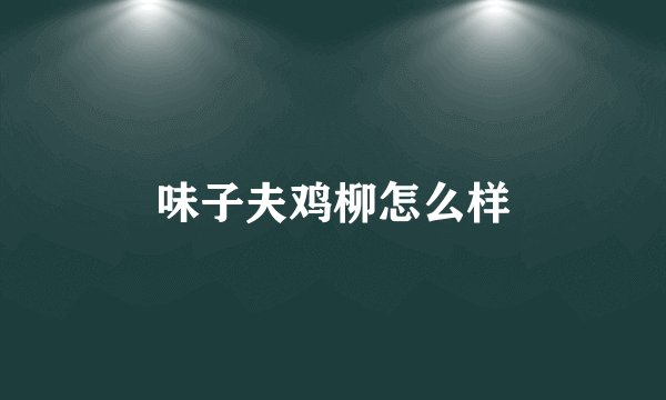 味子夫鸡柳怎么样