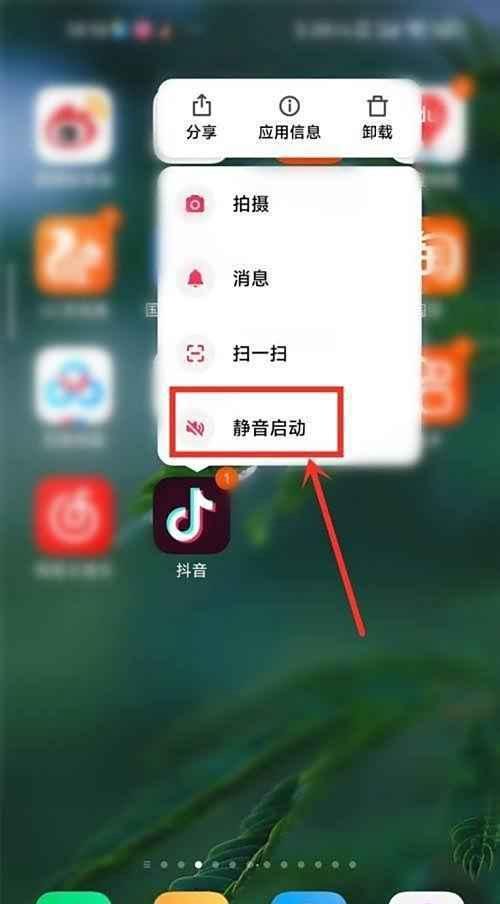 抖音如何设置外放默认静音功能?