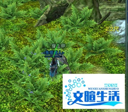 剑网3灵霄峡青灵竹获得攻略