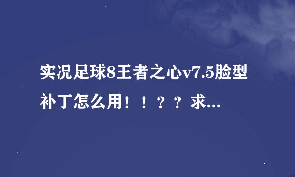 实况足球8王者之心v7.5脸型补丁怎么用!!??求大神指点!!