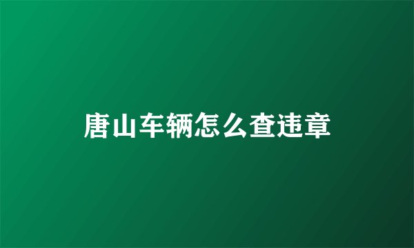 唐山车辆怎么查违章