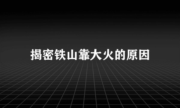 揭密铁山靠大火的原因