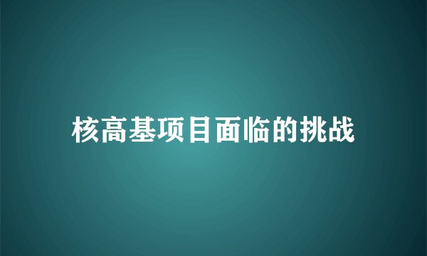 核高基项目面临的挑战