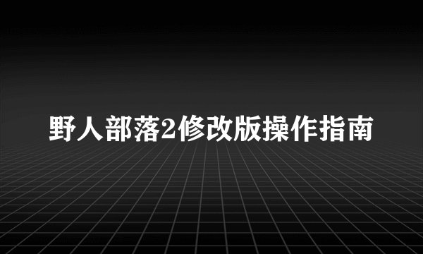 野人部落2修改版操作指南