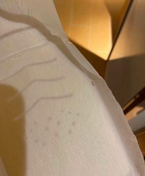 我们离卫生巾自由，到底还有多远？-液体卫生巾的虫子
