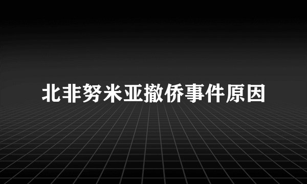北非努米亚撤侨事件原因