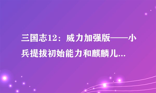三国志12：威力加强版——小兵提拔初始能力和麒麟儿概率参数相关AdjustParam