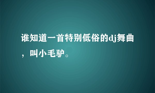 谁知道一首特别低俗的dj舞曲,叫小毛驴。