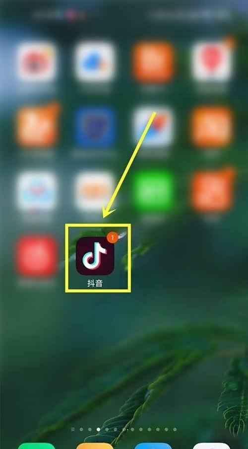 抖音如何设置外放默认静音功能?