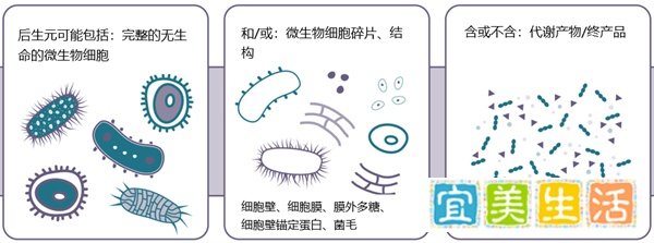 一文说清楚：益生菌、益生元、合生元、后生元和新生元到底咋回事