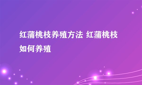 红蒲桃枝养殖方法 红蒲桃枝如何养殖