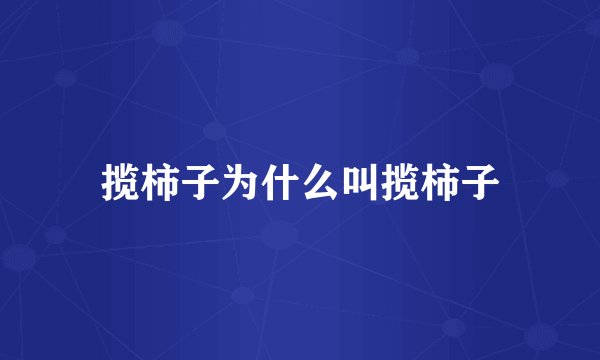 揽柿子为什么叫揽柿子