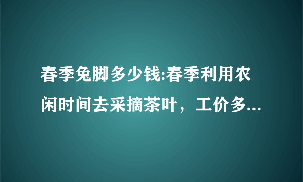 春季兔脚多少钱:春季利用农闲时间去采摘茶叶，工价多少你认为合适？