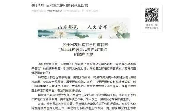 白岩松评农村房前屋后禁种蔬菜,莫让“惠民”成为“扰民”