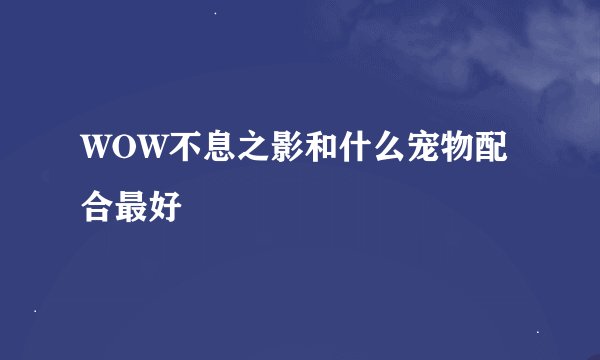 WOW不息之影和什么宠物配合最好