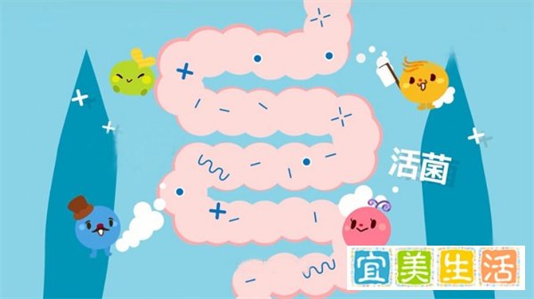一文说清楚：益生菌、益生元、合生元、后生元和新生元到底咋回事