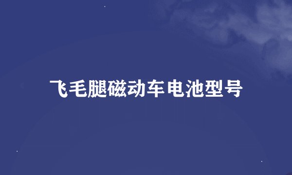 飞毛腿磁动车电池型号