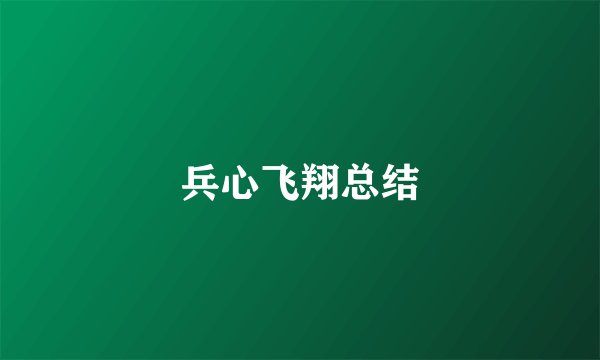兵心飞翔总结