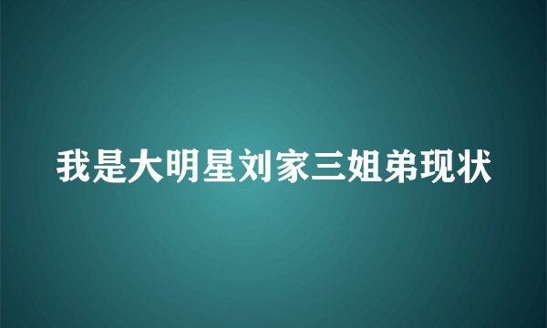 我是大明星刘家三姐弟现状