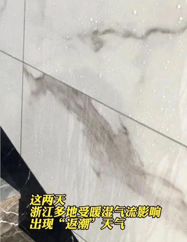 罕见！杭州今天湿度值爆表，高达100%，墙壁都“挤”出水了