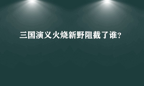 三国演义火烧新野阻截了谁？