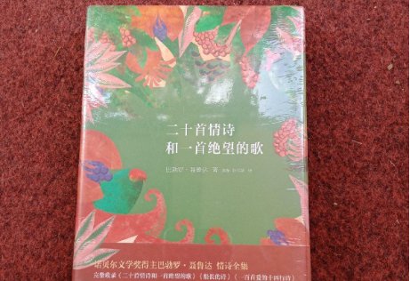 我想对你做春天对樱桃树做的事是什么意思？
