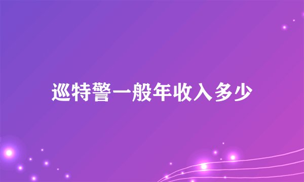 巡特警一般年收入多少