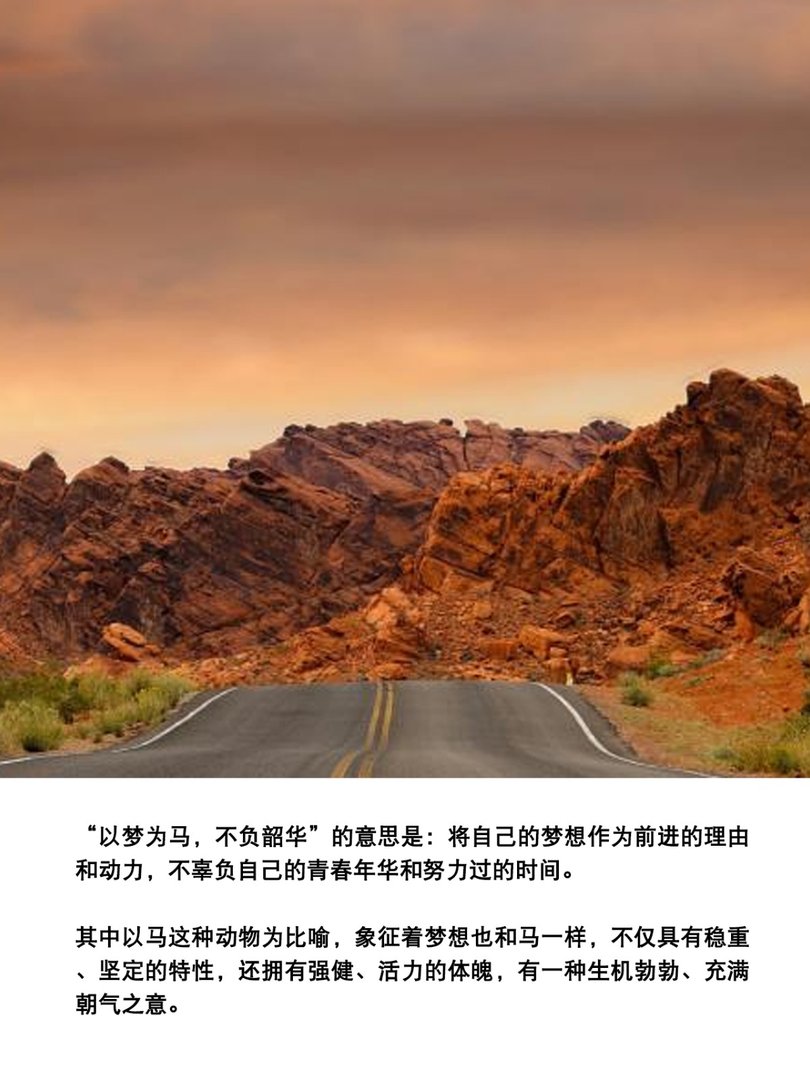 以梦为马,不负韶华全诗是什么?