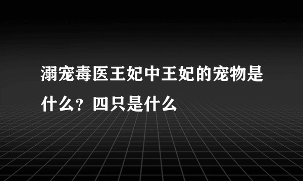 溺宠毒医王妃中王妃的宠物是什么？四只是什么