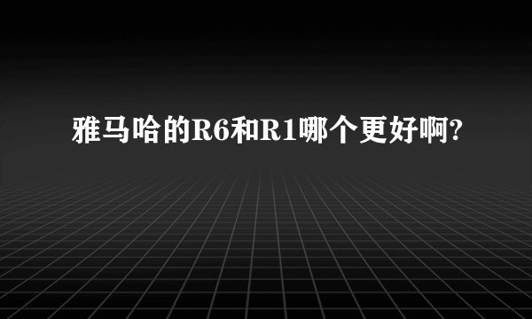 雅马哈的R6和R1哪个更好啊?