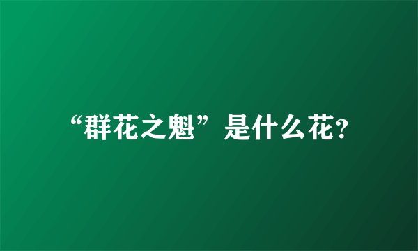 “群花之魁”是什么花？