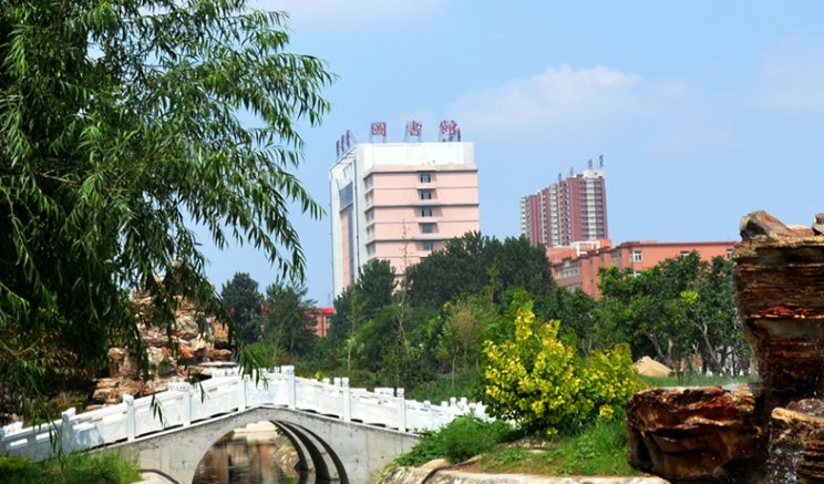 保定虎振学校现在叫什么学校？
