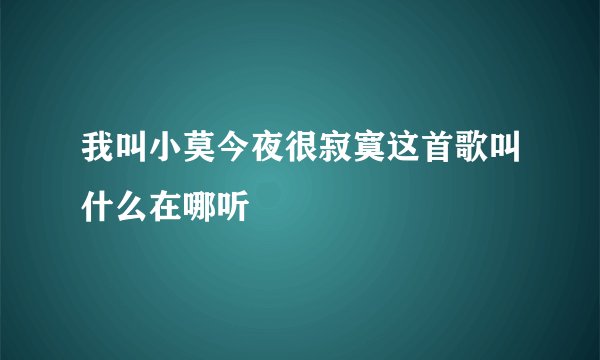 我叫小莫今夜很寂寞这首歌叫什么在哪听