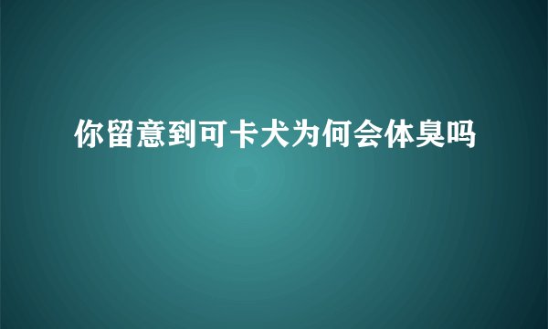 你留意到可卡犬为何会体臭吗
