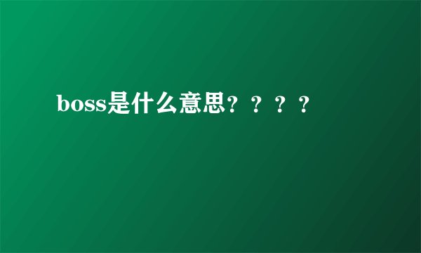 boss是什么意思？？？？