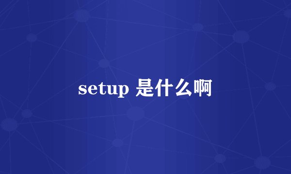 setup 是什么啊