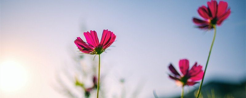 女生说往事清零,爱恨随意?
