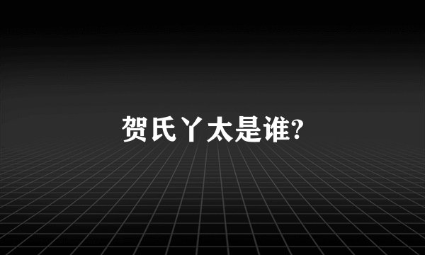 贺氏丫太是谁?
