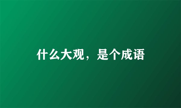 什么大观，是个成语