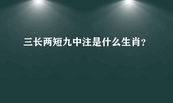 三长两短九中注是什么生肖？