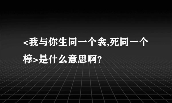 <我与你生同一个衾,死同一个椁>是什么意思啊？