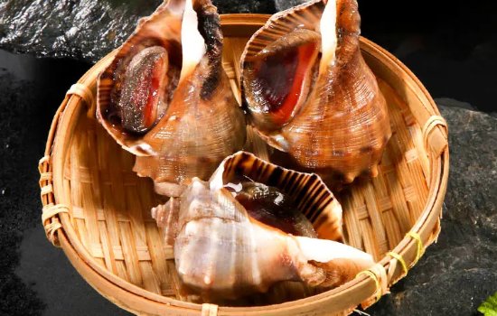 海螺肉哪个部位不能吃图解