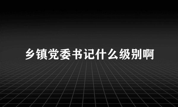 乡镇党委书记什么级别啊