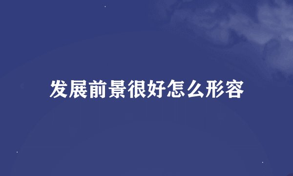 发展前景很好怎么形容