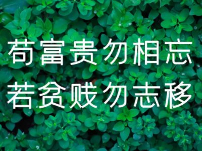 苟富贵，勿相忘的幽默回复怎么写呢？