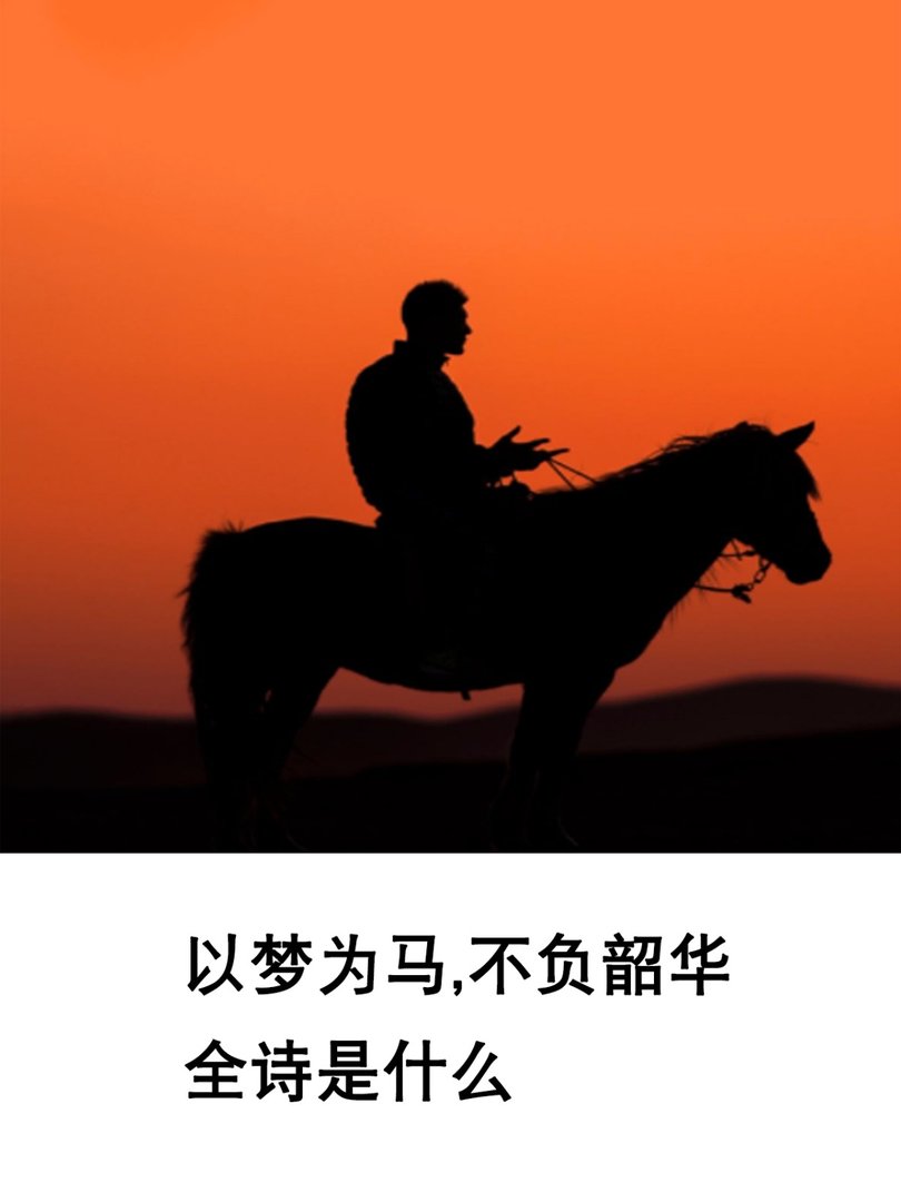 以梦为马,不负韶华全诗是什么?