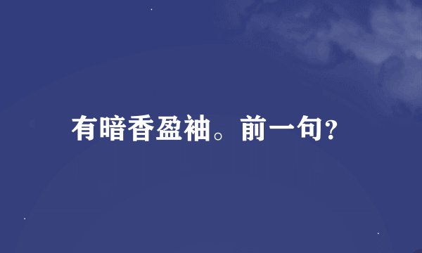 有暗香盈袖。前一句？