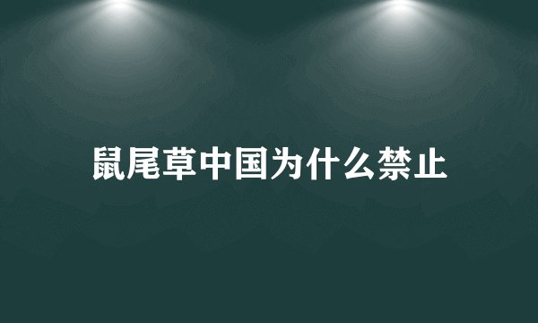 鼠尾草中国为什么禁止